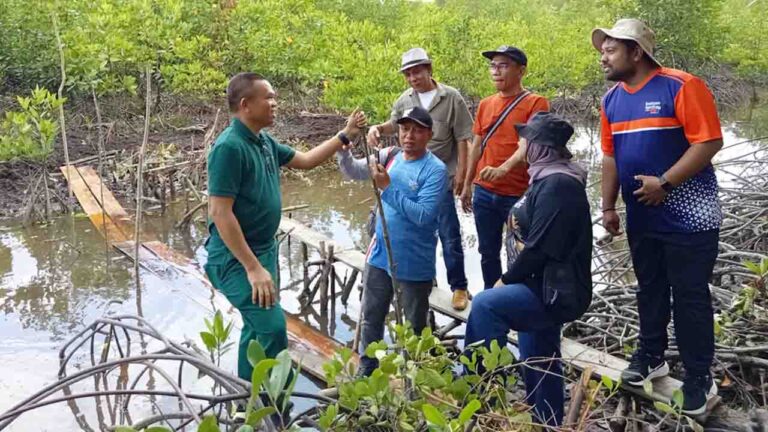 Sungai Tiram, Bekas Tambak yang Kini Jadi Harapan Baru Pesisir Bintan