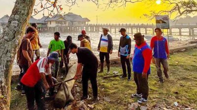 Ekosistem Laut Penyengat Terancam Sampah Plastik