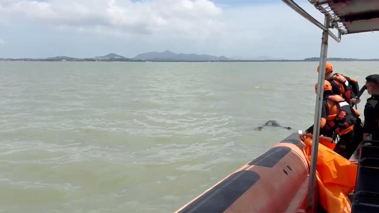 Kronologi Pria Jatuh dari Kapal Karunia Jaya di Perairan Karimun