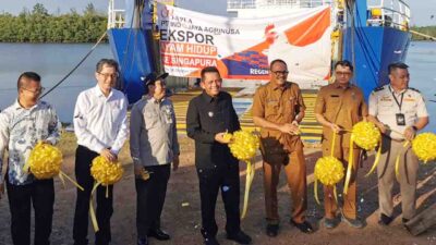 Biosecurity Ketat Jadi Kunci Ekspor Ayam Hidup di Kepri
