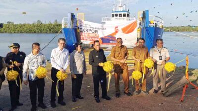 Ekspor Ayam Hidup Kepri Tembus 334 Ribu Ekor