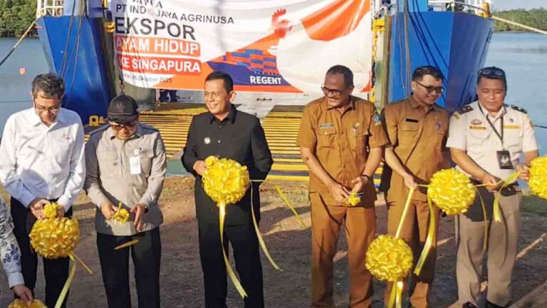 Gubernur Ansar: Ekspor Ayam Hidup Jadi Kebanggaan Kepri
