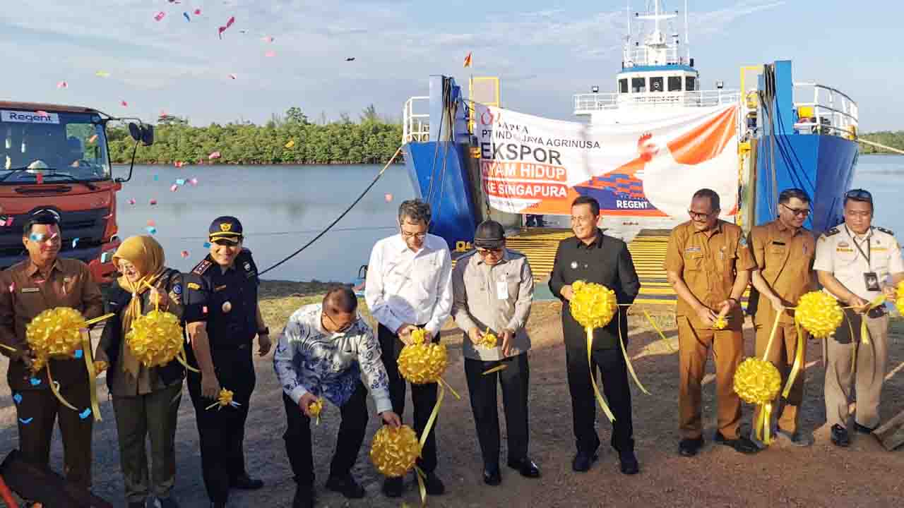 Kepri Jadi Satu-satunya Provinsi Ekspor Ayam Hidup ke Singapura