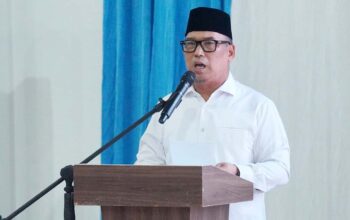 Kepri Masih Hadapi Blank Spot, Wagub Nyanyang Minta Penguatan Internet Satelit untuk Desa Pulau