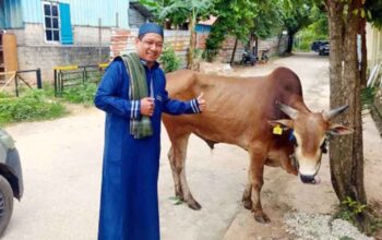 KJK Sembelih Sapi dan Kambing pada Idul Adha 1447 H, Ady Indra Pawennari: Wujud Rasa Syukur