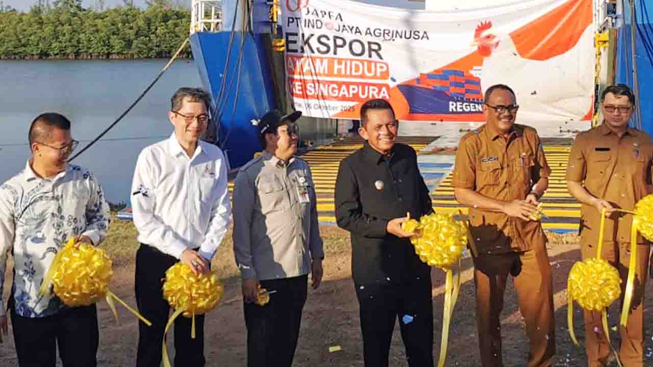 PT Ciomas dan Japfa Group Jadi Motor Ekspor Ayam Hidup di Kepri
