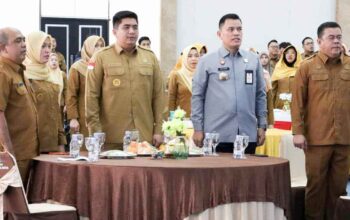 Ini Alasan Desa Pengudang di Bintan Ditetapkan sebagai Kawasan Berbasis Kekayaan Intelektual