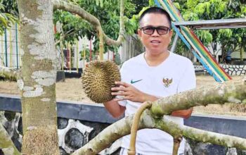 Pekarangan Rumah Bisa Jadi Ruang Hijau Produktif dengan Durian Musang King