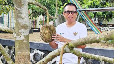 Pekarangan Rumah Bisa Jadi Ruang Hijau Produktif dengan Durian Musang King