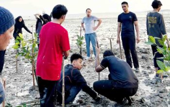Pelajar Singapura Ikut Tanam Mangrove dan Gotong Royong di Pulau Penyengat