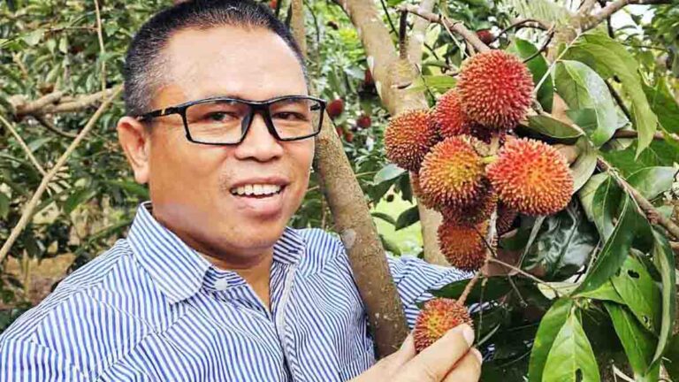 Pulasan, Buah Langka yang Kerap Disangka Rambutan