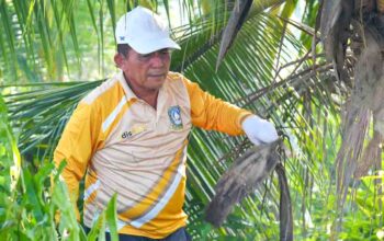 Gubernur Kepulauan Riau Ansar Ahmad mengikuti gotong royong bersama masyarakat di Pulau Penyengat.