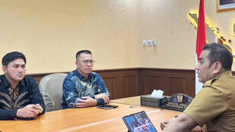 Bupati Aneng saat menyampaikan kondisi fiskal Kabupaten Kepulauan Anambas dalam audiensi bersama Kemendagri.