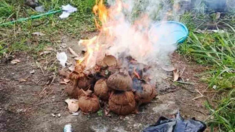 Mengapa Limbah Kelapa Dipilih Menjadi Bahan Baku BRIKOLA? Ini Alasannya!