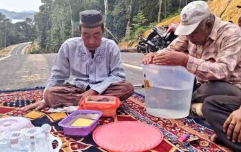 Pembangunan jalan Mampok menuju Air Biru di Kecamatan Jemaja diharapkan meningkatkan konektivitas dan perekonomian masyarakat.