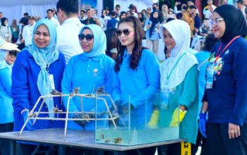 Selvi Ananda Gibran mengikuti aksi transplantasi terumbu karang dan pelepasliaran tukik di Pantai Dugong Bintan.